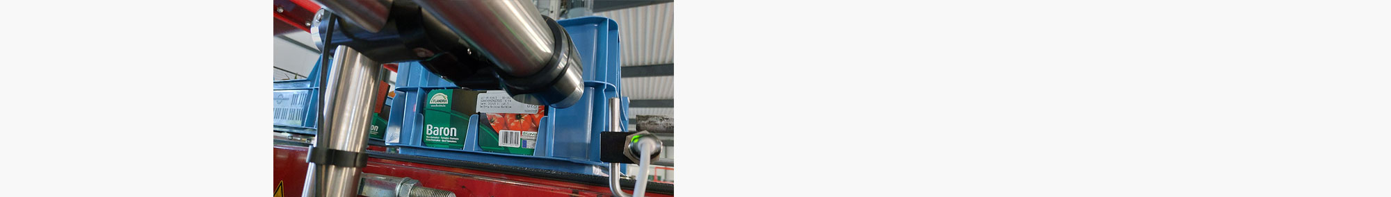 Témoignage entreprise horticole TVB