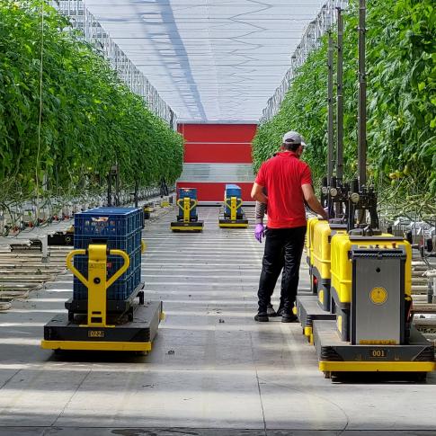De nieuwe serres bij Tuinbouwbedrijf Van Bulck