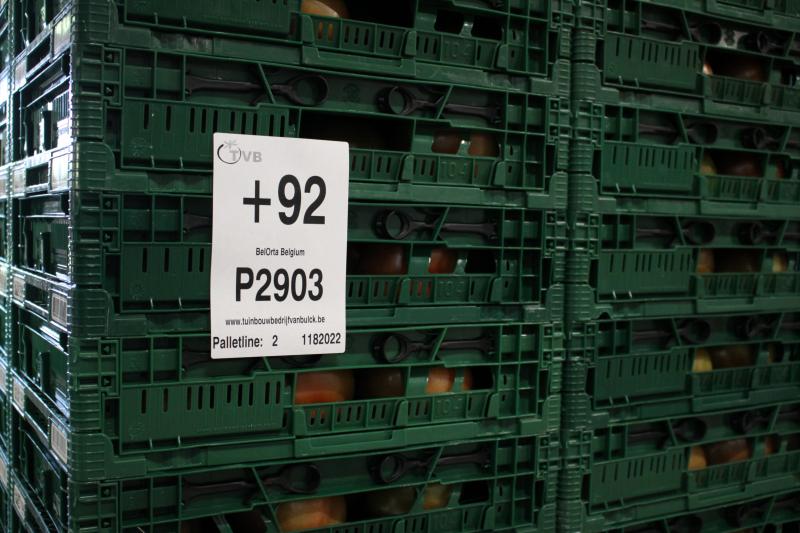 Flexibel printen en pallet etiketteren voor vleestomaten bij Tuinbouwbedrijf Van Bulck