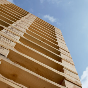 Hout en pallets op een veilige manier van de beste markeringen voorzien
